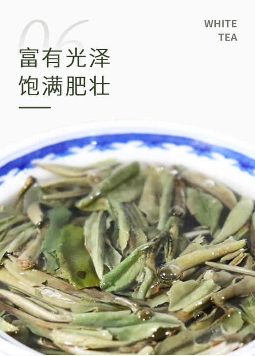 25g超品牡丹王 福鼎管阳纯料 2019年 商品图11