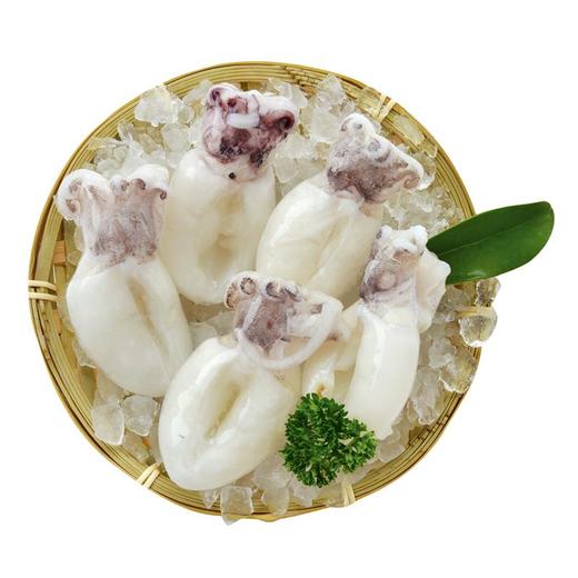 墨鱼仔半斤装 250g 商品图0