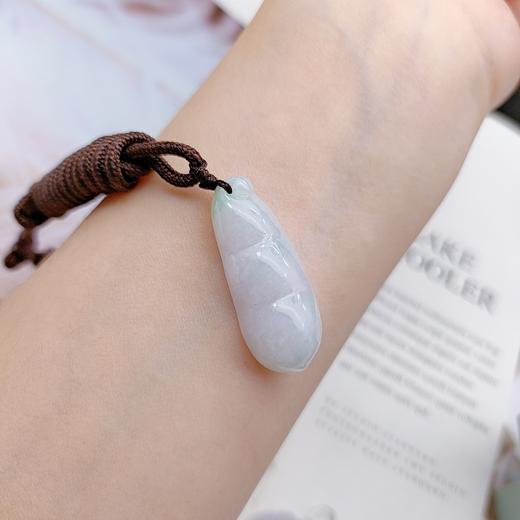 翡翠福豆 商品图2