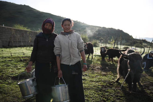 【2025年8月生产】【全新定制，升级加量不加价】国家地理标识产品【红原有机牦牛奶粉，500g*1袋】世界三大洲权威机构有机产品认证 无添加  无激素 有机牦牛奶粉 商品图4