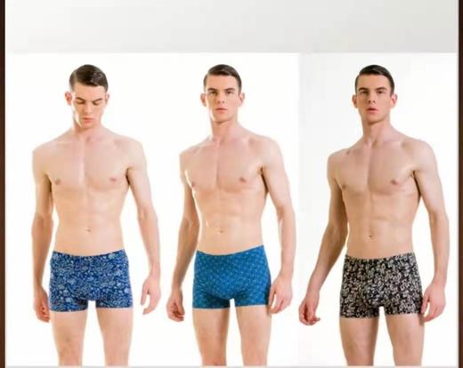 3F皮尔卡丹男平角裤 商品图0