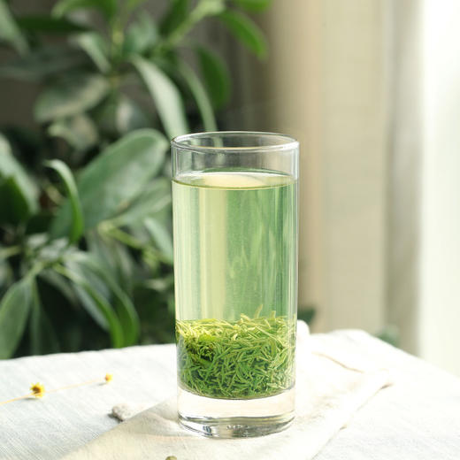 【2026春茶上市】泥巴哥精品毛尖嫩芽绿茶明前春茶100g*2罐 商品图2