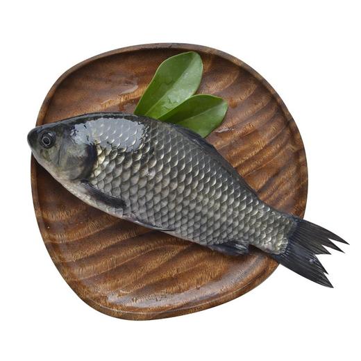 普通鲫鱼   约200-300g/条（鲫鱼） 商品图1