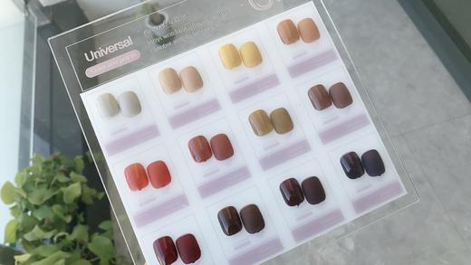 可可茶棕12色套装 商品图0