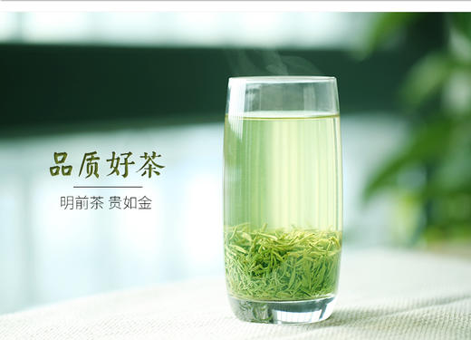 【2026春茶上市】泥巴哥精品毛尖嫩芽绿茶明前春茶100g*2罐 商品图6