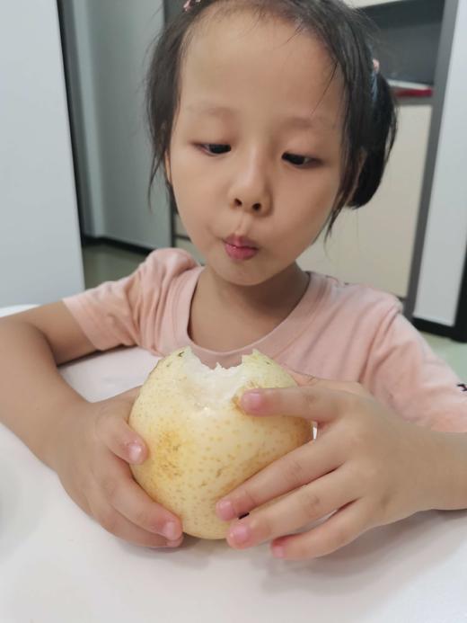 玉露香梨 商品图4