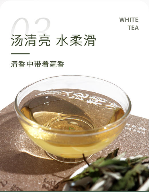 25g超品牡丹王 福鼎管阳纯料 2019年 商品图7