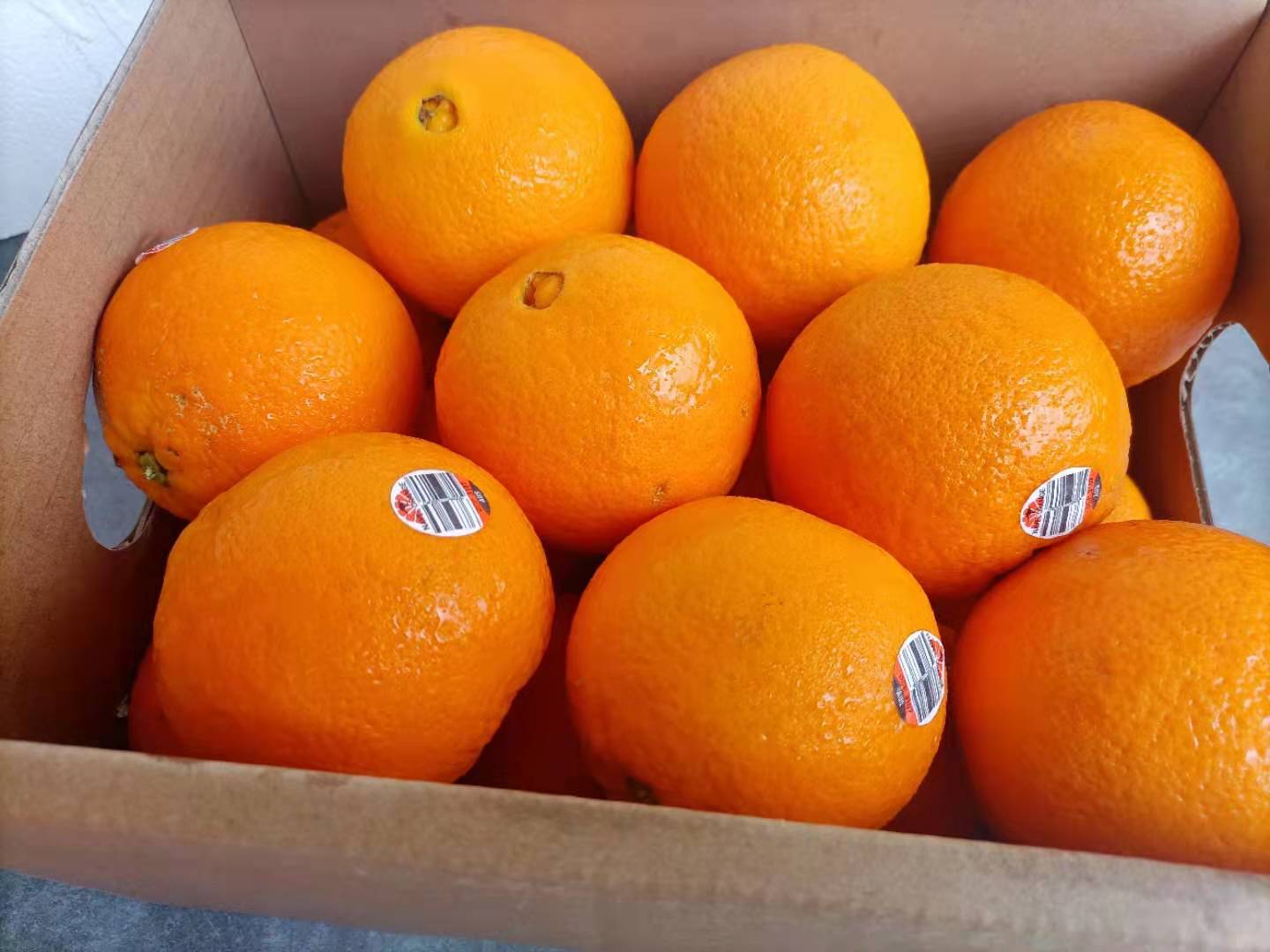 澳洲袋鼠橙来自澳洲的袋鼠橙果肉透亮肉质鲜嫩汁水十足橙味浓郁