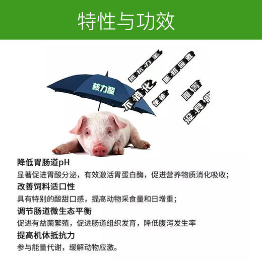 【核力酸】和仕康核力酸促食欲增产增量猪用畜用1kg新版 商品图2