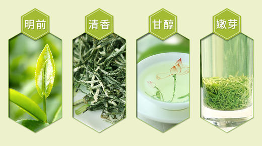 【2026春茶上市】泥巴哥精品毛尖嫩芽绿茶明前春茶100g*2罐 商品图5