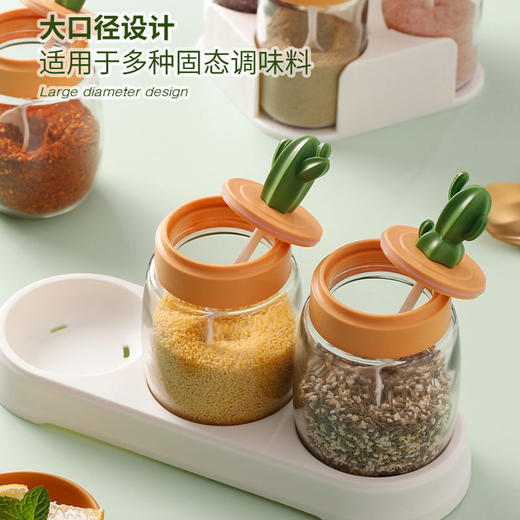创意设计可爱仙人掌厨房调料收纳盒 I 调味盒调料瓶组合套装， 商品图2