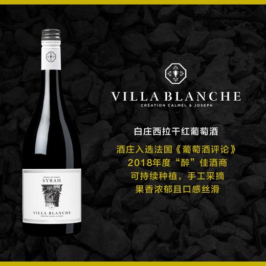 卡莫乔森白庄系列西拉干红葡萄酒 2020 Calmel & Joseph Villa Blanche Syrah 商品图0