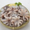 小章鱼 约250g/份（冰鲜处理） 商品缩略图0