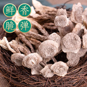 一菌天下牌鹿茸菇200g