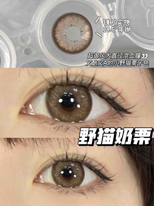 年抛 cococon 奶栗子 14.5  着色14.1【275/375/450/475/500/550/600/650/800缺货】 商品图1