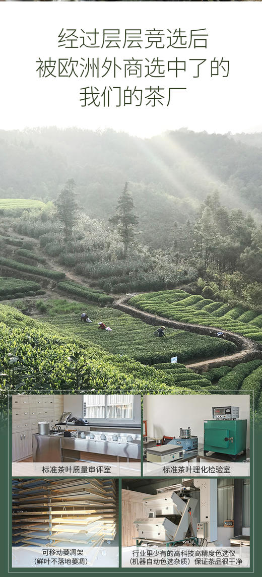 400克 超品牡丹王 2019年 小箱装收藏级 福鼎管阳纯料 出口品质 资质全 商品图8