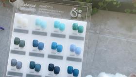 宝藏限定12色套装