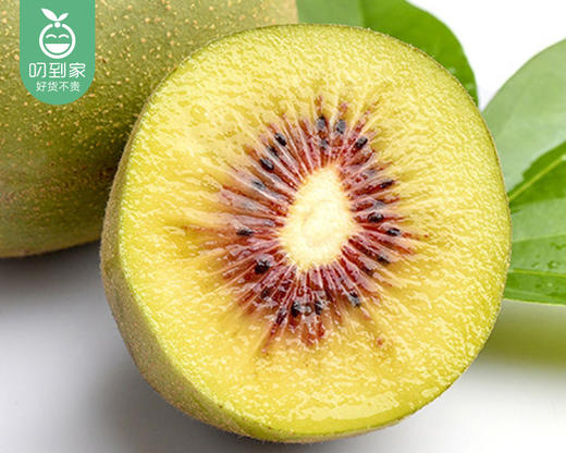 树熟四川蒲江红心猕猴桃/1盒（5个  共约400g±20g） 商品图3