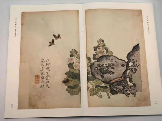 《芥子园画传》，康熙十八年彩图原迹版，一函十三册，16开原色精印，天津人民美术出版社2017年11月初版 商品图5