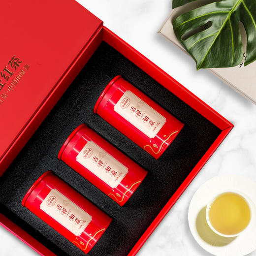 元正 红动中国吉祥如意正山小种红茶茶叶礼盒装300g 商品图3