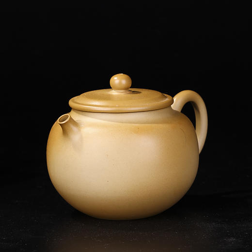 范程柏 壶 商品图1