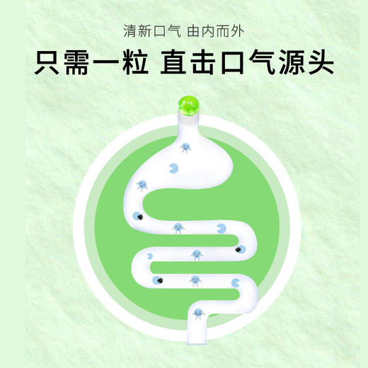 【买2送1买3送2买5送4】罗伊氏乳杆菌汉麻籽凝胶糖果口气清新丸爆珠糖入口即爆随时随地清新口气约会神器 商品图3