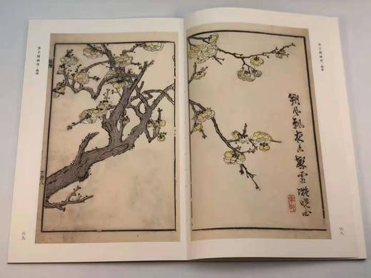 《芥子园画传》，康熙十八年彩图原迹版，一函十三册，16开原色精印，天津人民美术出版社2017年11月初版 商品图8