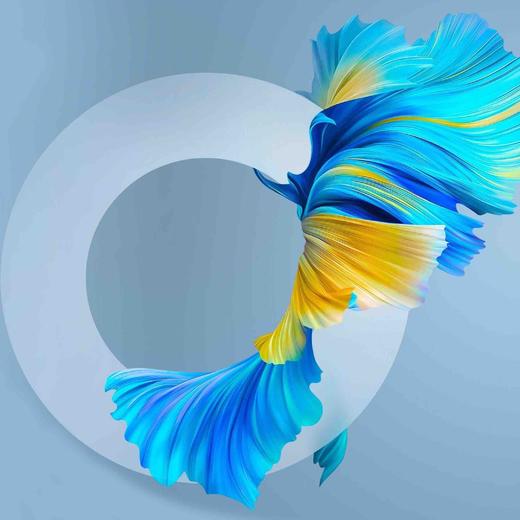 美女｜景色壁纸 商品图10