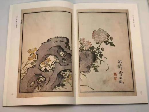 《芥子园画传》，康熙十八年彩图原迹版，一函十三册，16开原色精印，天津人民美术出版社2017年11月初版 商品图2