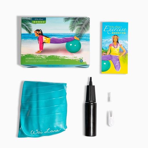 蕙兰瑜伽 健身瑜伽球55CM（大） 商品图2