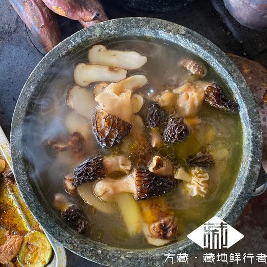 羊肚菌干货 甘孜野生羊肚菌 100g煲汤专用 商品图4