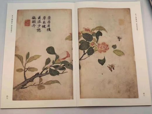 《芥子园画传》，康熙十八年彩图原迹版，一函十三册，16开原色精印，天津人民美术出版社2017年11月初版 商品图7