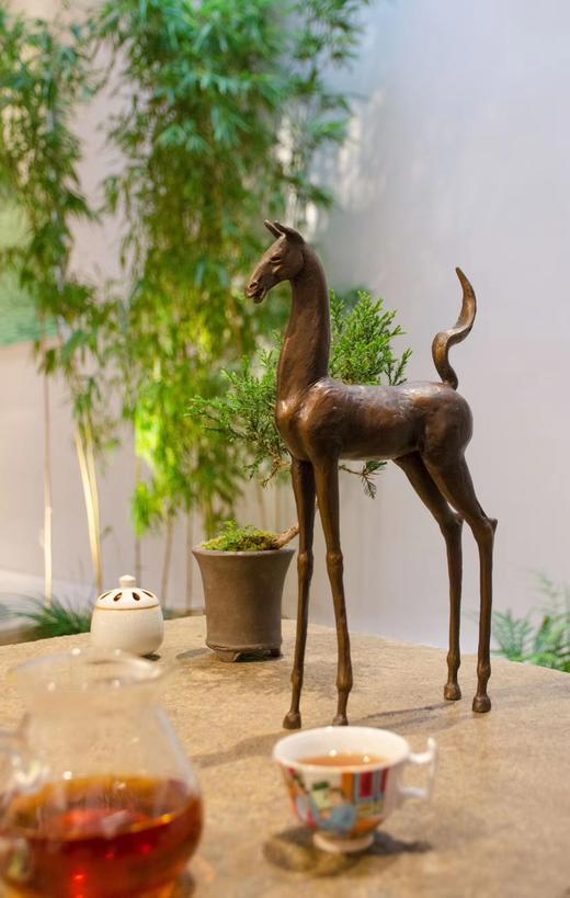 王大朋《追风》99版 商品图0