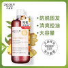 【持防脱特证】卓蓝雅防脱控油生姜洗发水买即送对应赠品 商品缩略图3
