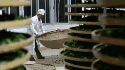 双12秒杀！【2025秋茶铁观音】| 纯手工制作，三揉三焙文火烤制 ，口感清甜、兰香扑鼻，性价比很高！ 商品图1