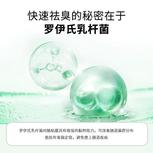 【买2送1买3送2买5送4】罗伊氏乳杆菌汉麻籽凝胶糖果口气清新丸爆珠糖入口即爆随时随地清新口气约会神器 商品图4