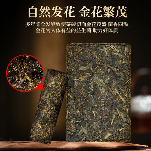墨君传承1368泾阳茯茶 商品图2