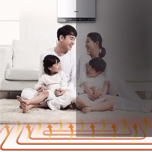 海尔（Haier）壁挂炉LL1PBD20-HN1冷凝式 商品图9