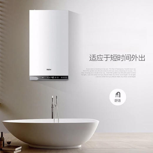 海尔（Haier）壁挂炉LL1PBD20-HN1冷凝式 商品图8
