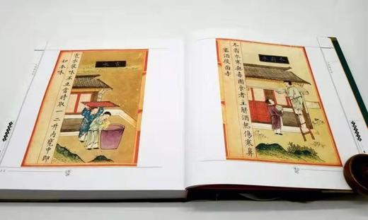 食物本草 商品图4