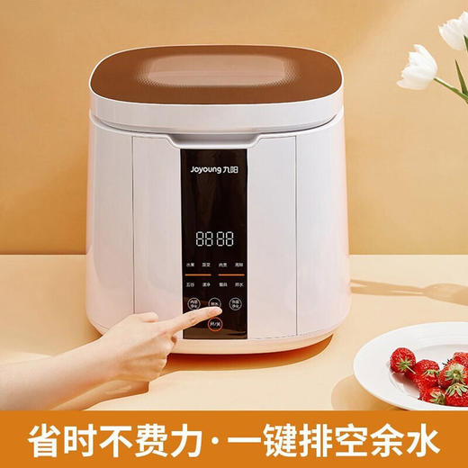 厂家直发-九阳洗菜机、果蔬清洗机、蔬菜解毒机XJS-02A 商品图6