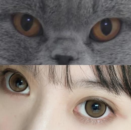 【小红书推荐款】sheepcon 盐柠珍宝，年抛/直径14.5/着色14.4以上很大很大，168/一副，268/两副（同品牌任选），328/三副（同品牌任选），368/四副（同品牌任选） 商品图2