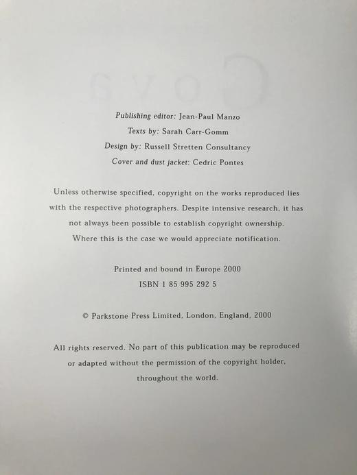 戈雅画集 123幅插图 精装大16开 商品图4