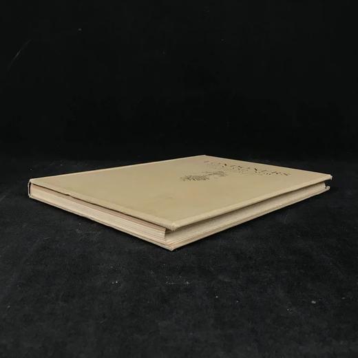 1920年 伦敦人的过去与现在 45幅插图 漆布精装大16开 商品图1