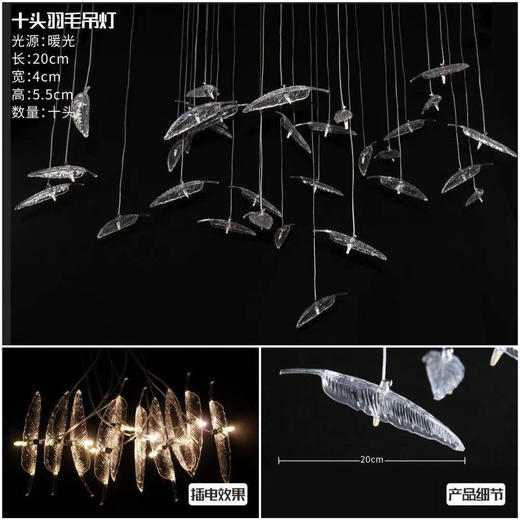 十头羽毛吊灯【运费自理】 商品图2