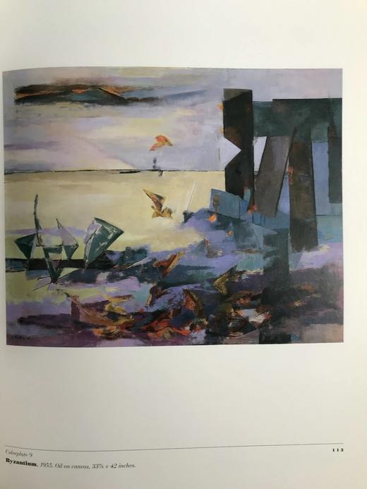 朱迪思·罗斯柴尔德画集 48幅彩色78幅黑白插图 精装大16开 商品图13