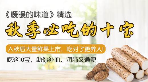 秋季必吃的十宝--暖味精选 商品图0