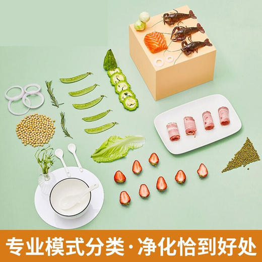 厂家直发-九阳洗菜机、果蔬清洗机、蔬菜解毒机XJS-02A 商品图3