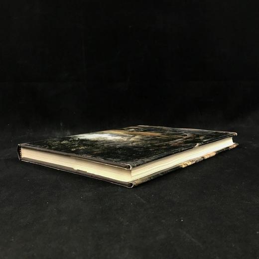 荷兰画家：100位十七世纪大师 约百余幅彩色插图 精装大16开 商品图2