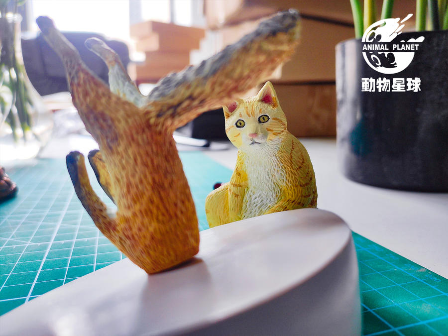 动物星球正版 沙雕大神畑山翔平全新力作 钻地狐狸 潮玩手办